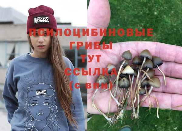 MESCALINE Арсеньев