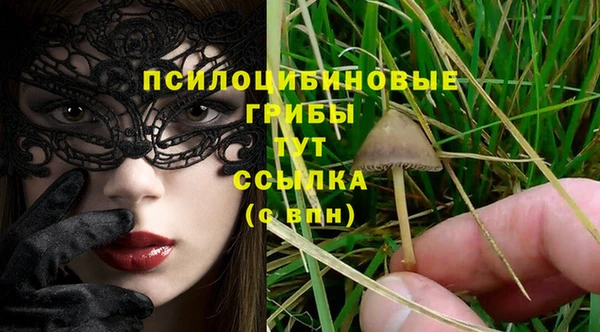 СК Аркадак