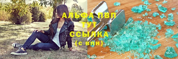 СК Аркадак
