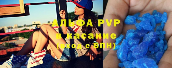 СК Аркадак