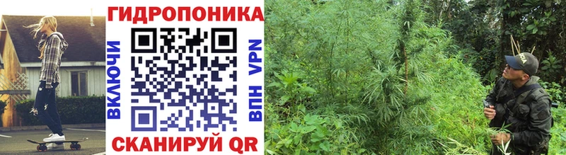 Канабис OG Kush  Учалы 